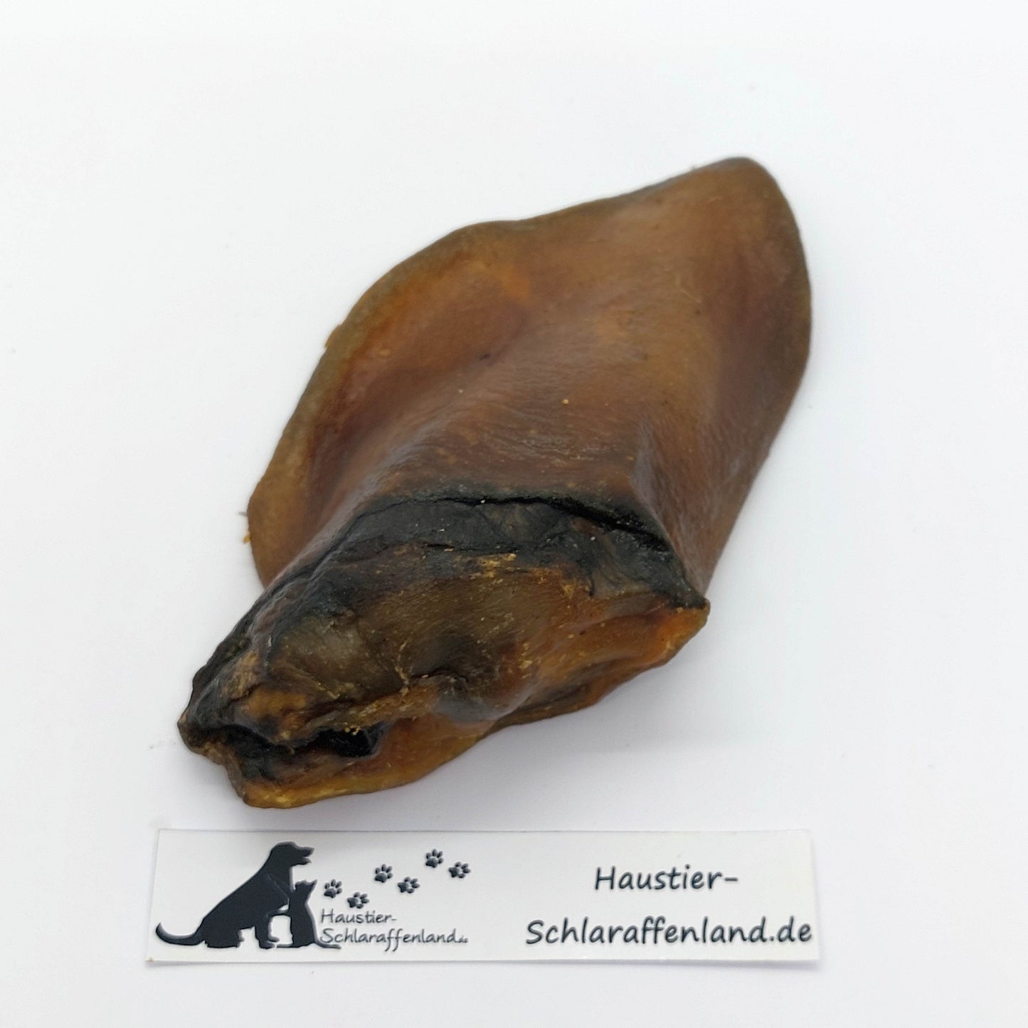 Wildschwein-Ohr