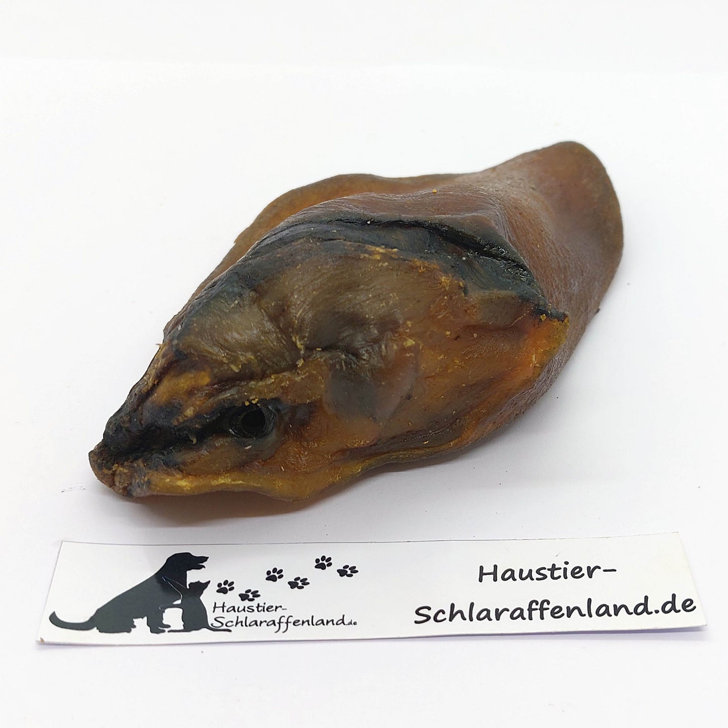 Wildschwein-Ohr