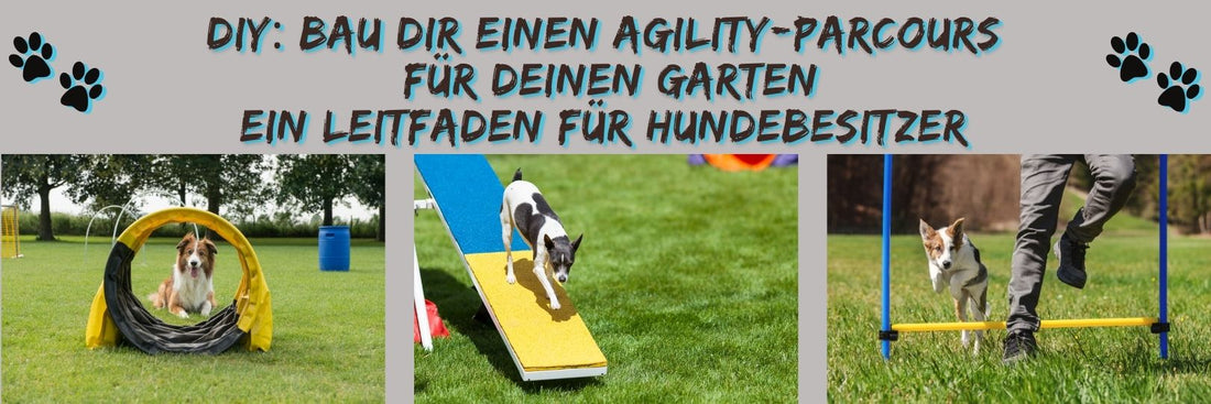 DIY: Bau dir einen Agility-Parcours für deinen Garten – Ein Leitfaden für Hundebesitzer