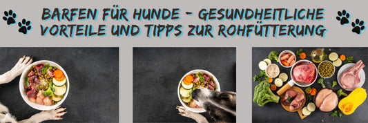 BARFen für Hunde - Gesundheitliche Vorteile und Tipps zur Rohfütterung