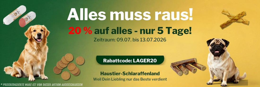 🔥 Wir machen Platz! 20 % auf alles – nur 5 Tage!