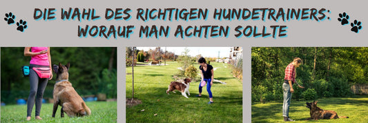 Die Wahl des richtigen Hundetrainers: Worauf man achten sollte
