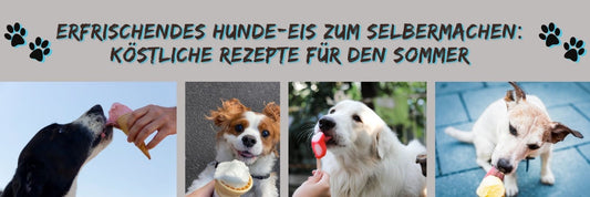 Erfrischendes Hunde-Eis zum Selbermachen: Köstliche Rezepte für den Sommer
