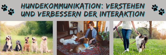 Hundekommunikation: Verstehen und Verbessern der Interaktion