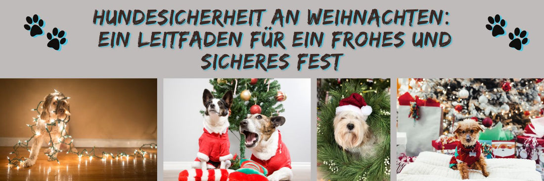 Hundesicherheit an Weihnachten: Ein Leitfaden für ein frohes und sicheres Fest