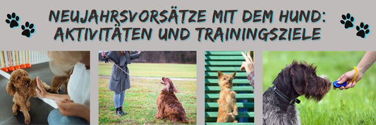 Neujahrsvorsätze mit dem Hund: Aktivitäten und Trainingsziele
