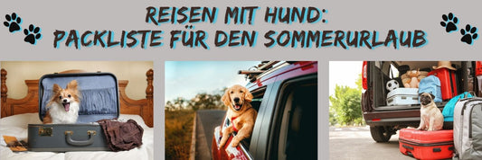 Reisen mit Hund:  Packliste für den Sommerurlaub