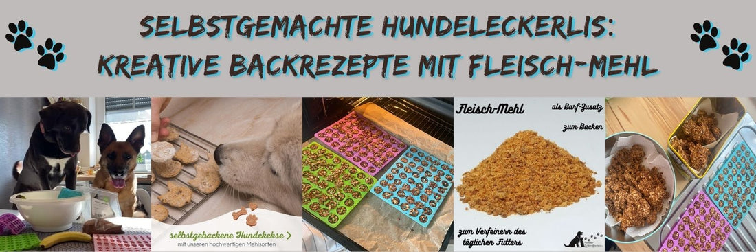 Selbstgemachte Hundeleckerlis: Kreative Backrezepte mit Fleisch-Mehl