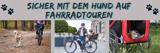 Sicher mit dem Hund auf Fahrradtouren