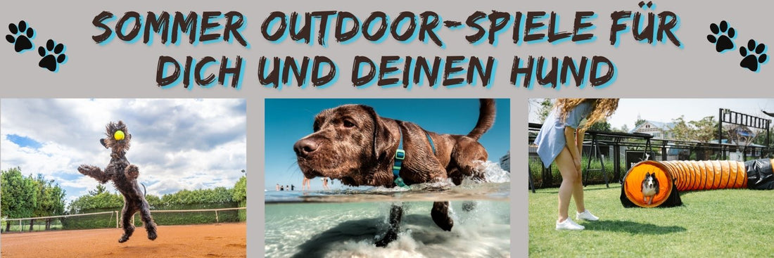 Sommer Outdoor-Spiele für dich und deinen Hund