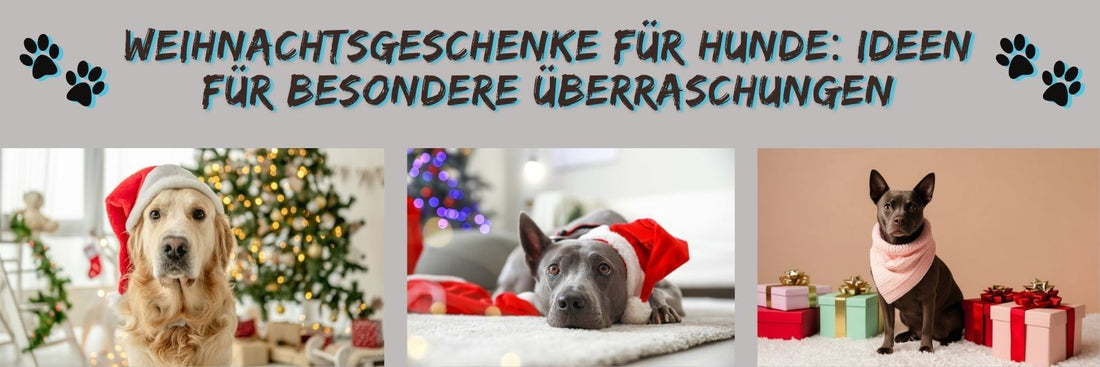 Weihnachtsgeschenke für Hunde: Ideen für besondere Überraschungen