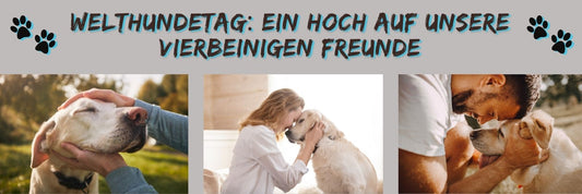 Welthundetag: Ein Hoch auf unsere vierbeinigen Freunde