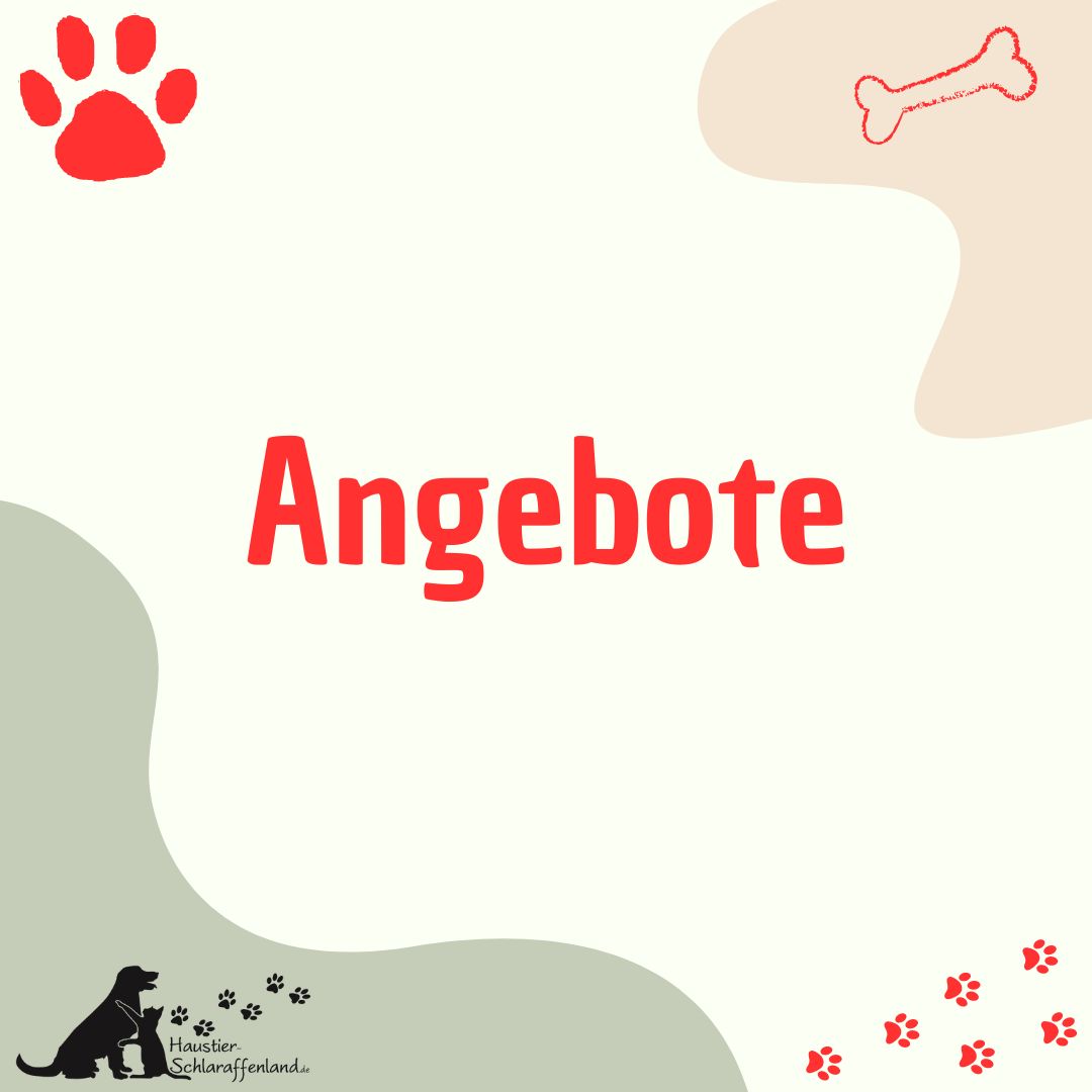 Angebote