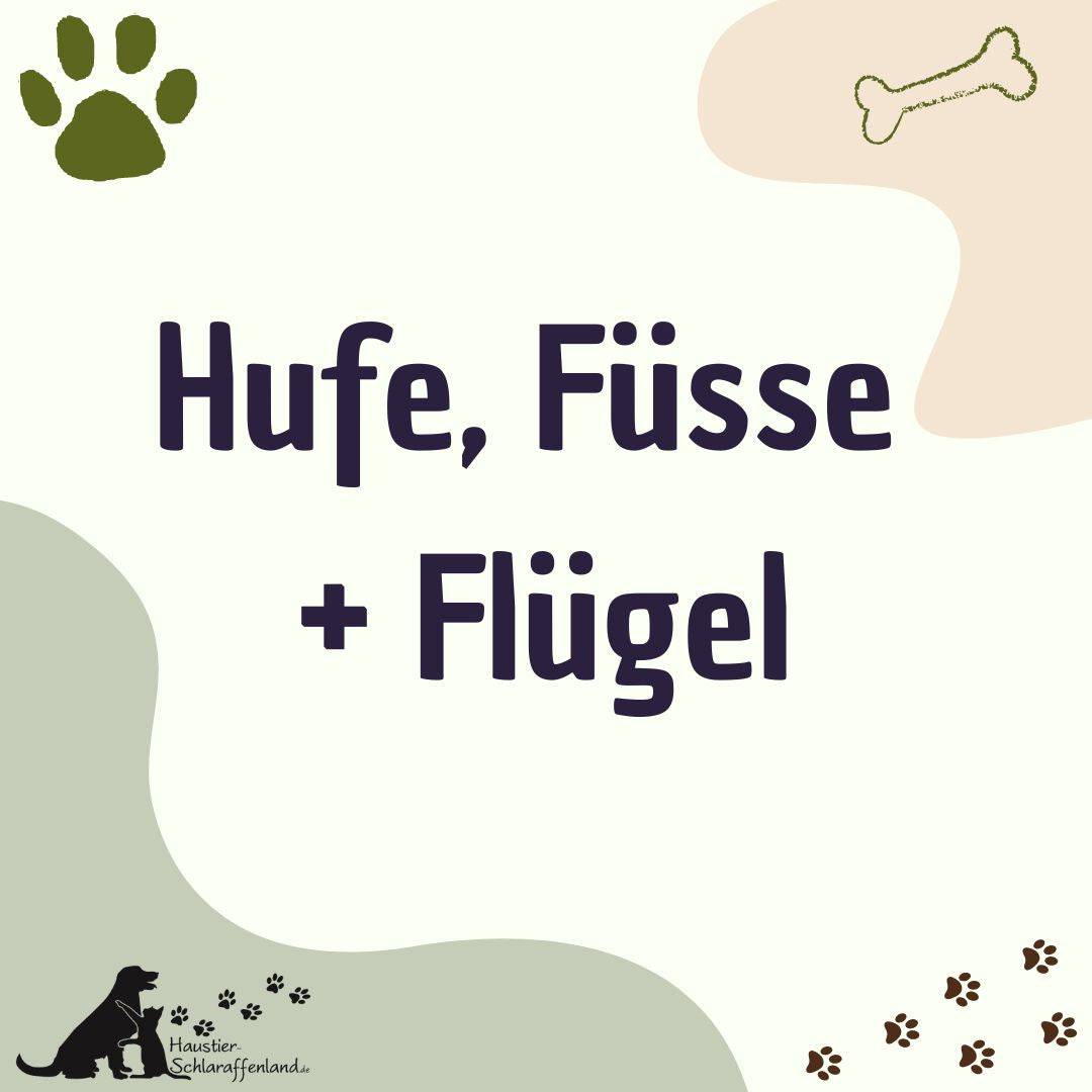 Hufe - Füsse - Flügel