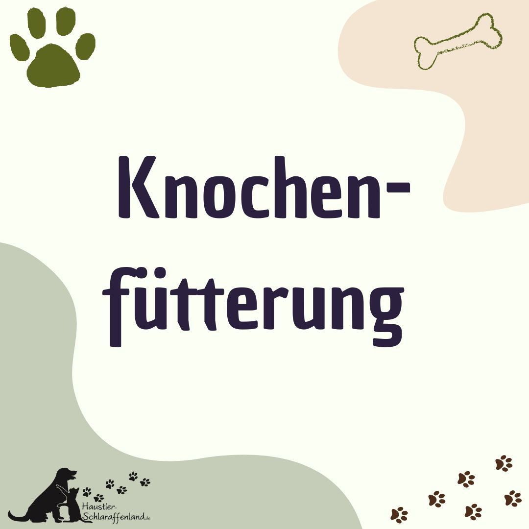 Knochenfütterung