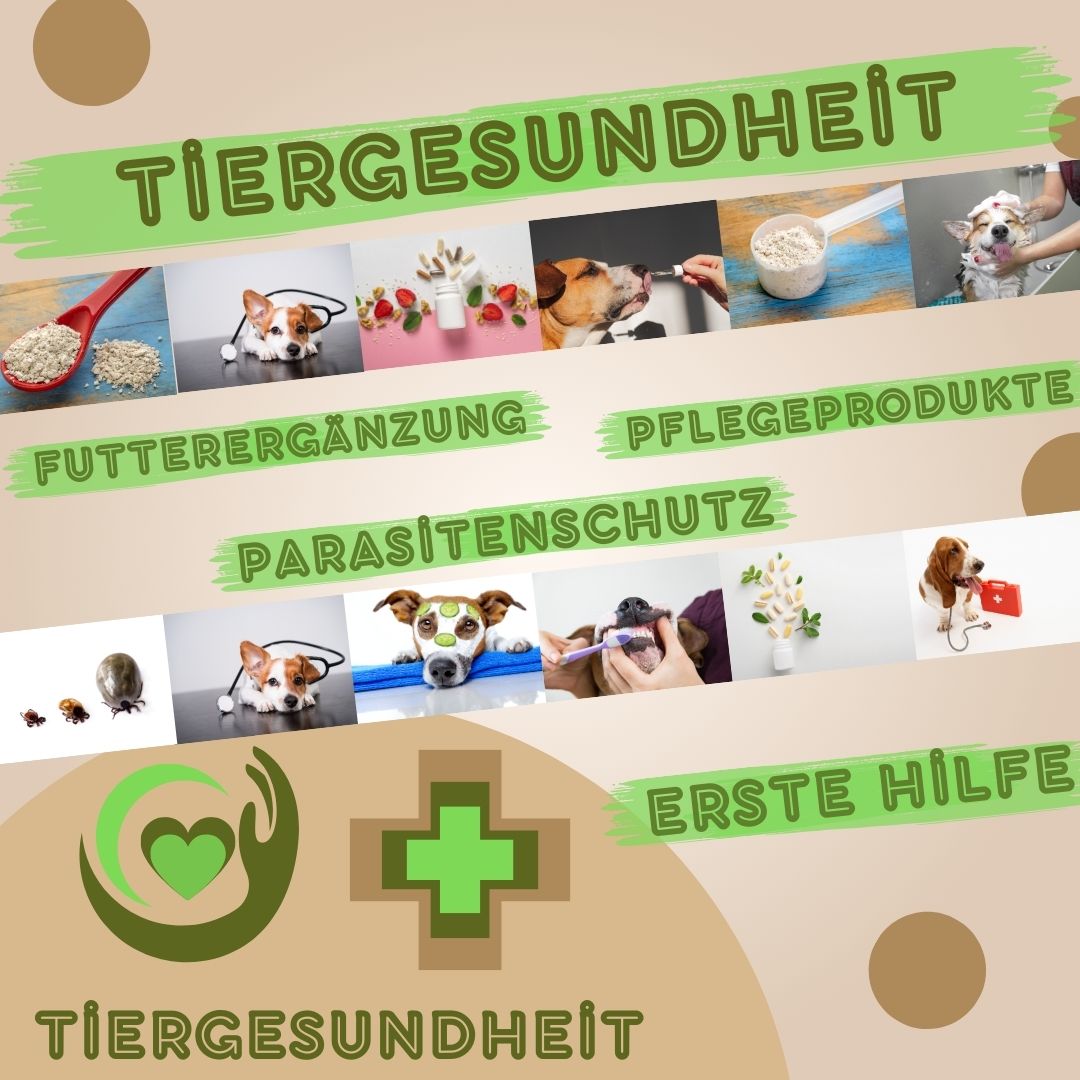 Tiergesundheit