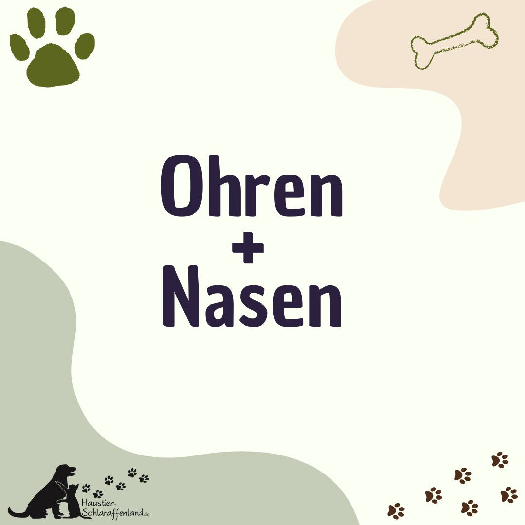 Ohren & Nasen