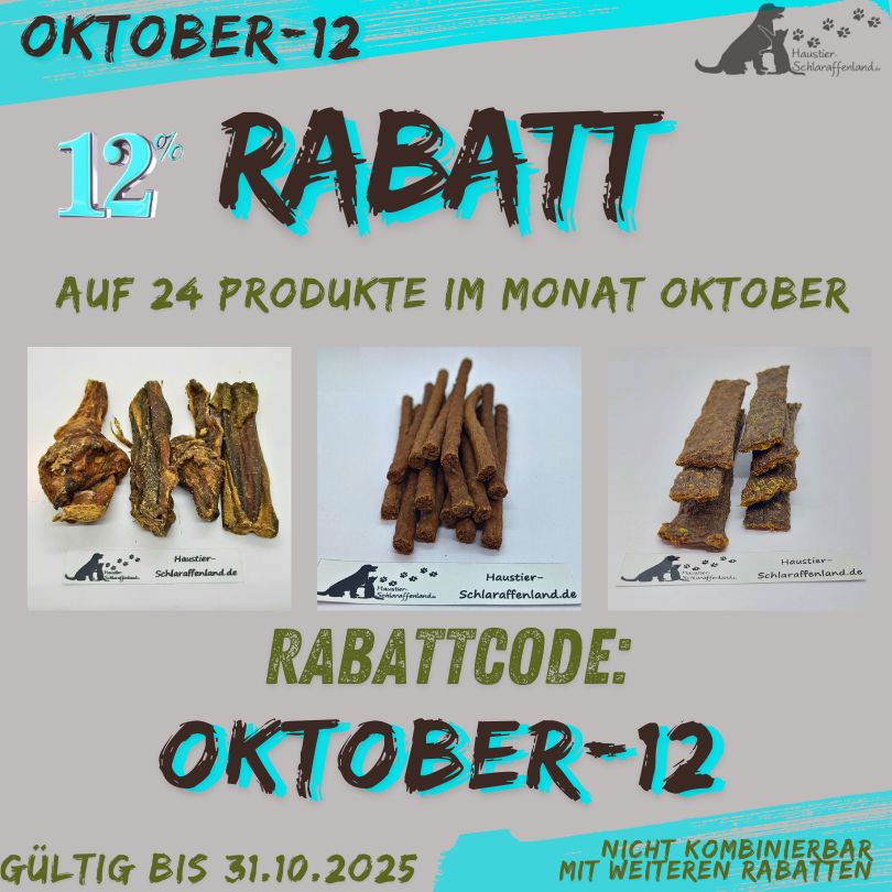 Angebote Oktober