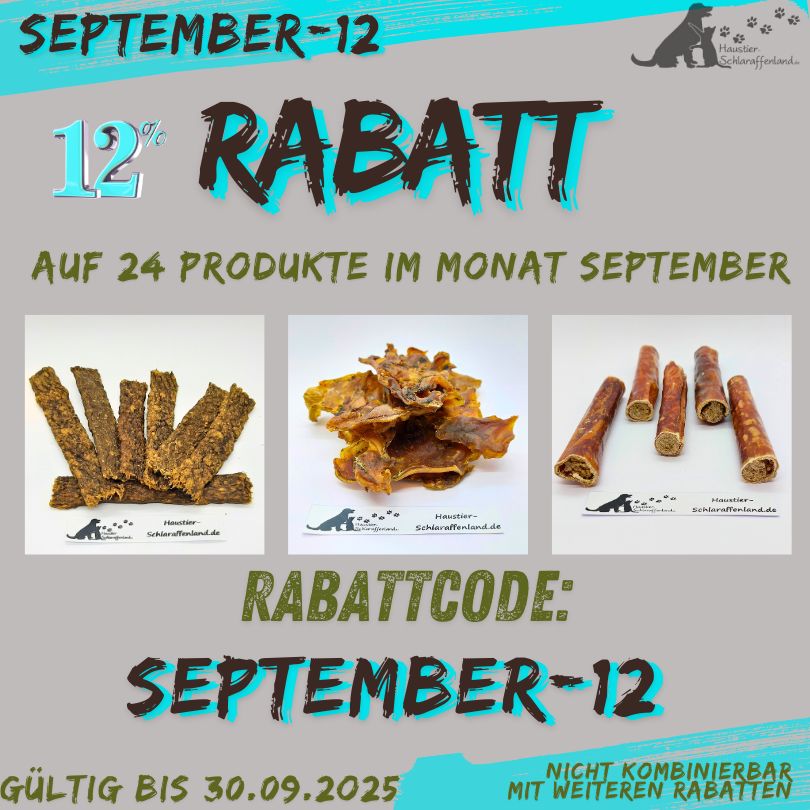 Angebote September