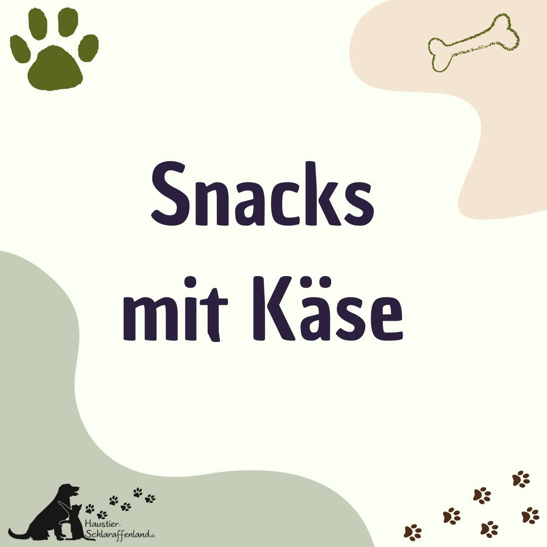 Snacks mit Käse