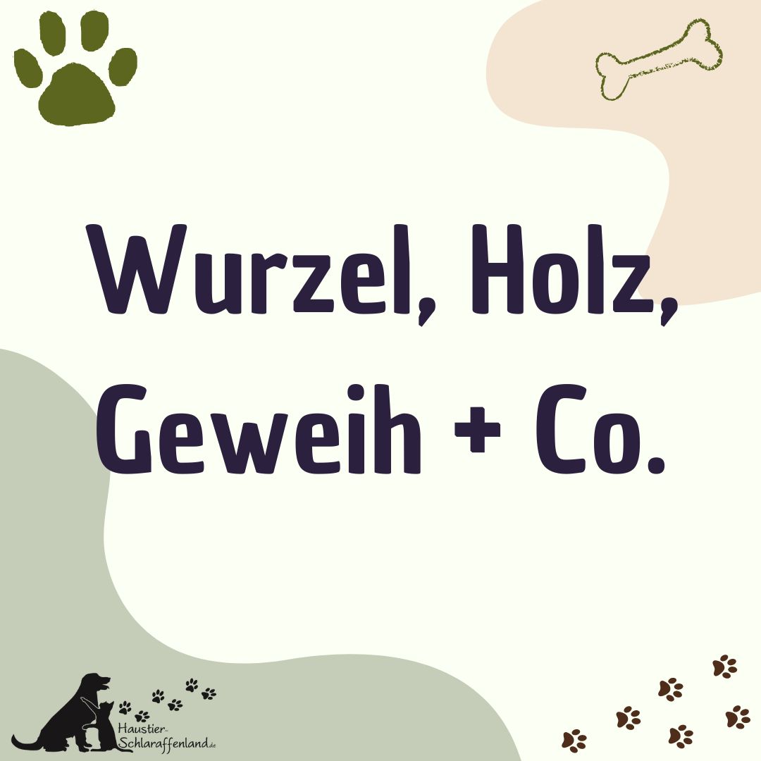 Wurzel, Holz, Geweih + Co.