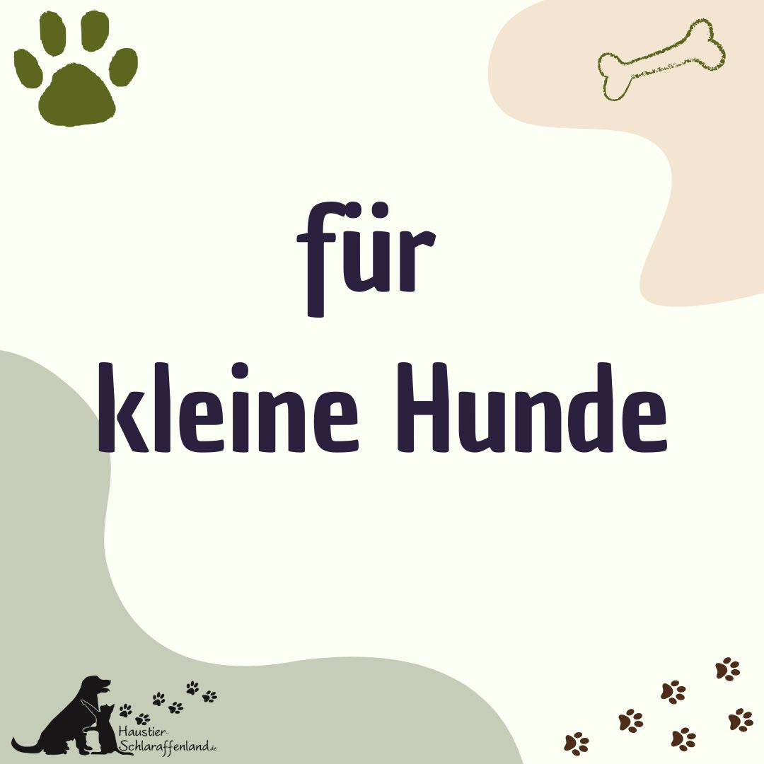 für Kleine Hunde