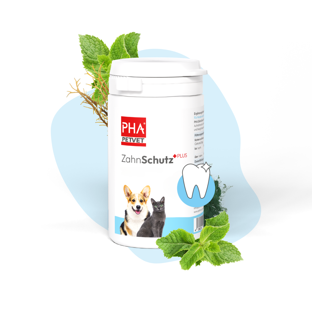 PHA ZahnSchutz PLUS für Hunde u. Katzen