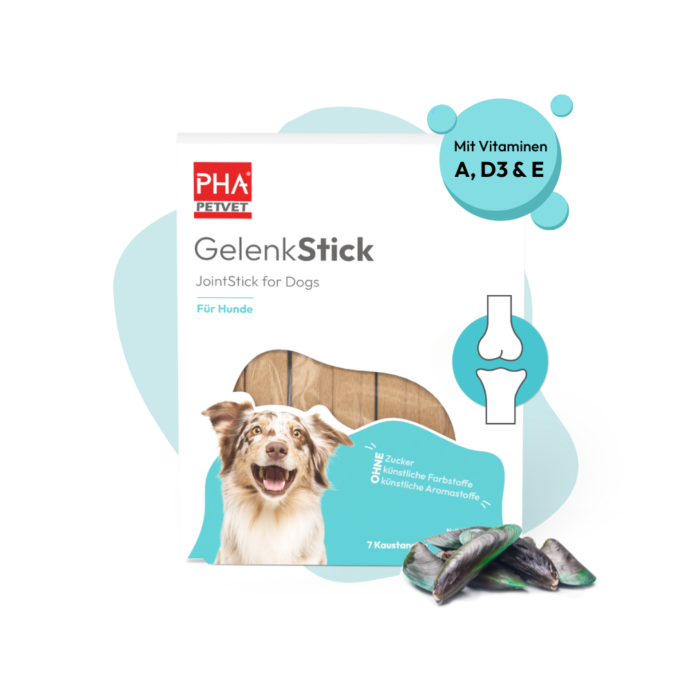 PHA GelenkStick für Hunde - 3 Packungen zu je 7 Stück