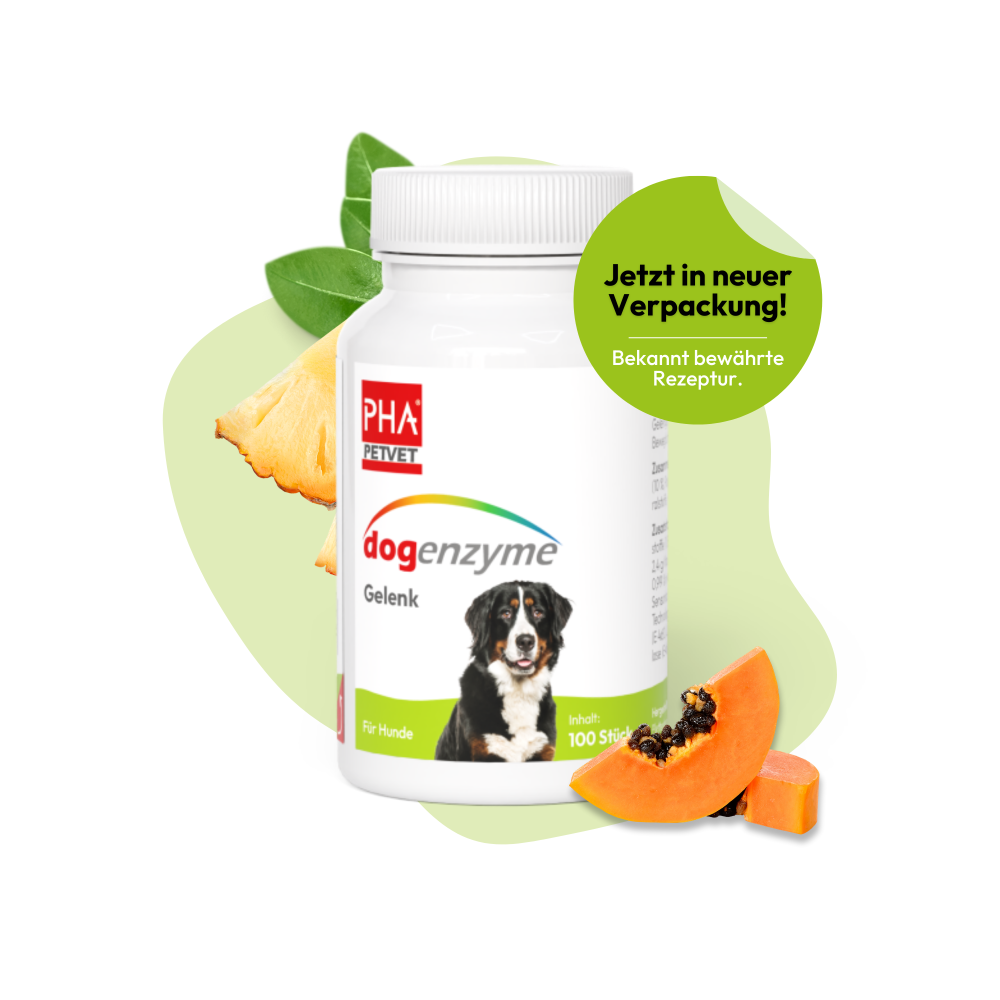 PHA dogenzyme – Gelenk 100 Tabletten (46 g)