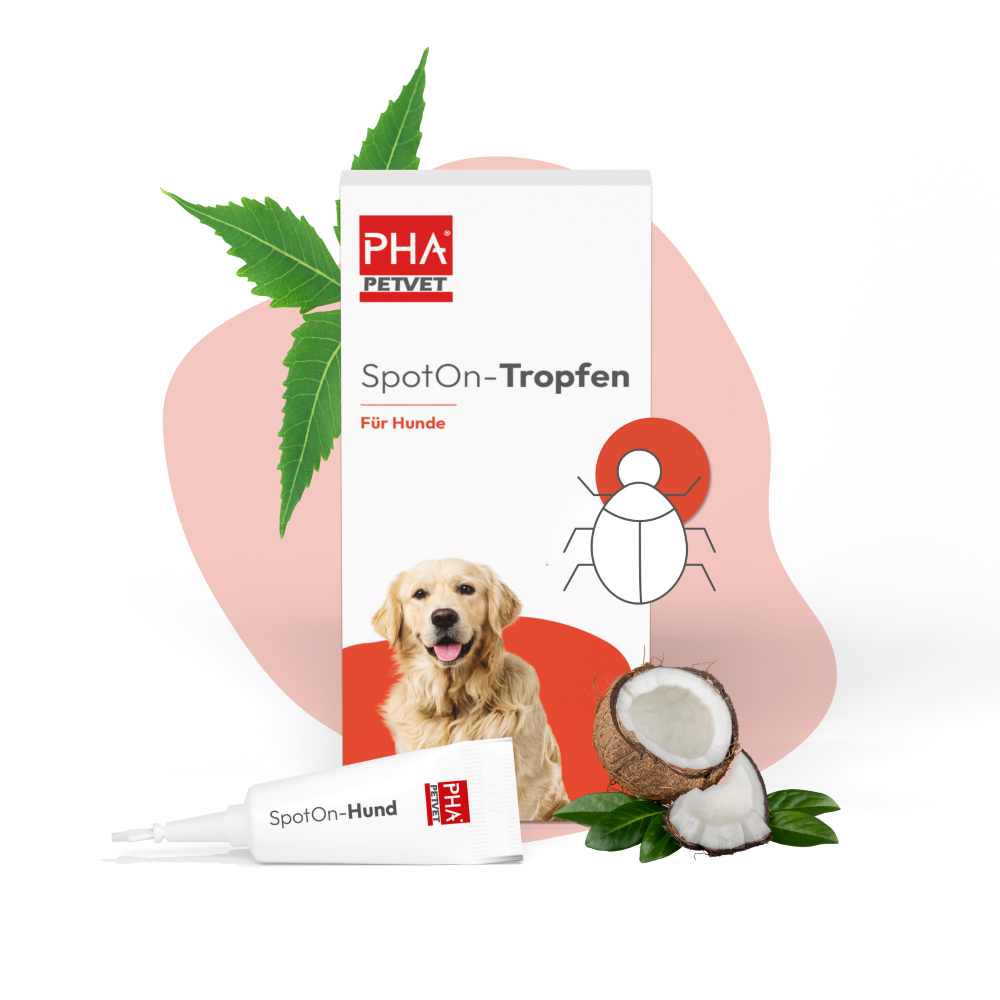 PHA Spot-onTropfen für Hunde 2 x 2 ml - 3 Stück