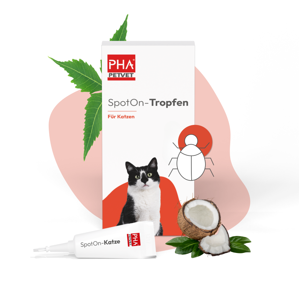 PHA Spot-onTropfen für Katzen 2 x 1,5 ml - 3 Stück