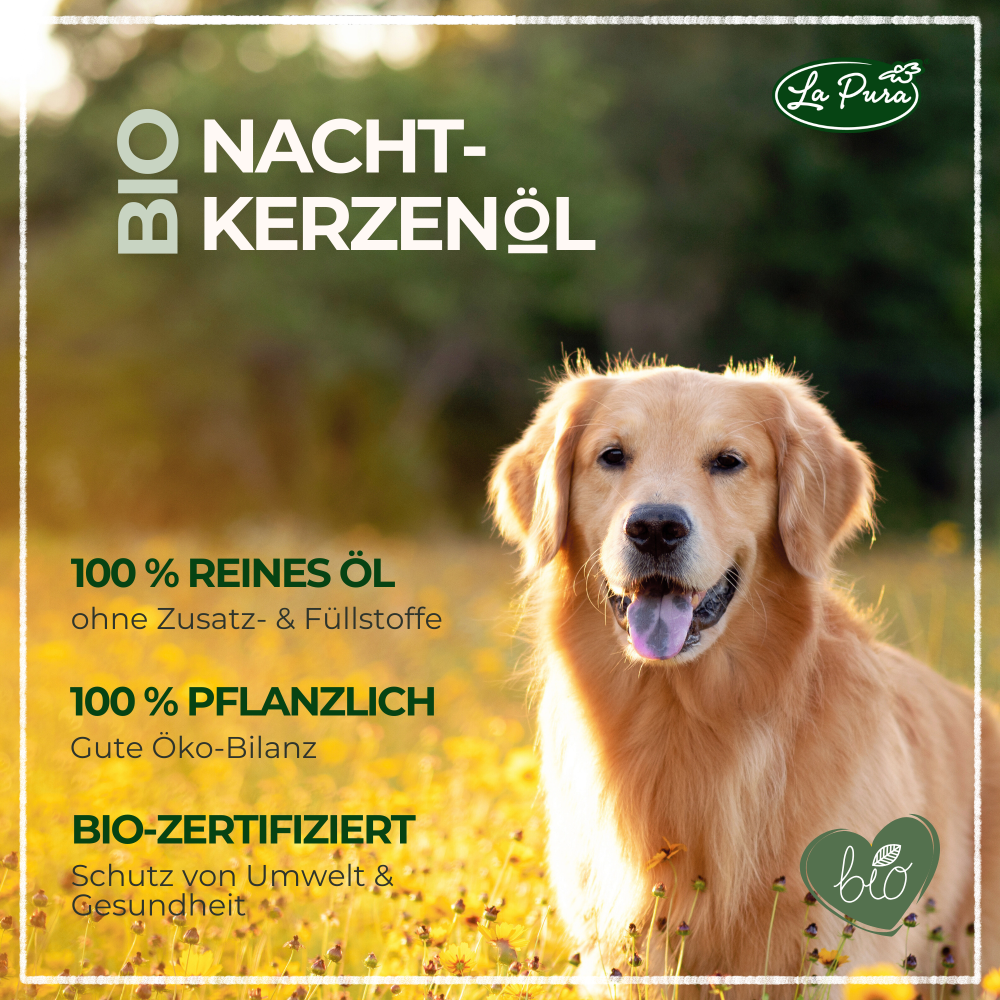 LaPura Bio-Nachtkerzenöl für Hunde und Katzen - 100 ml