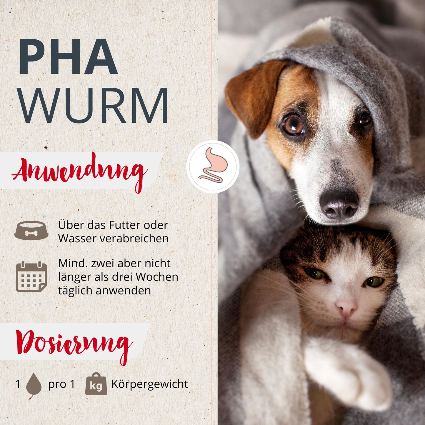 PHA WURM für Hunde u. Katzen 50 ml