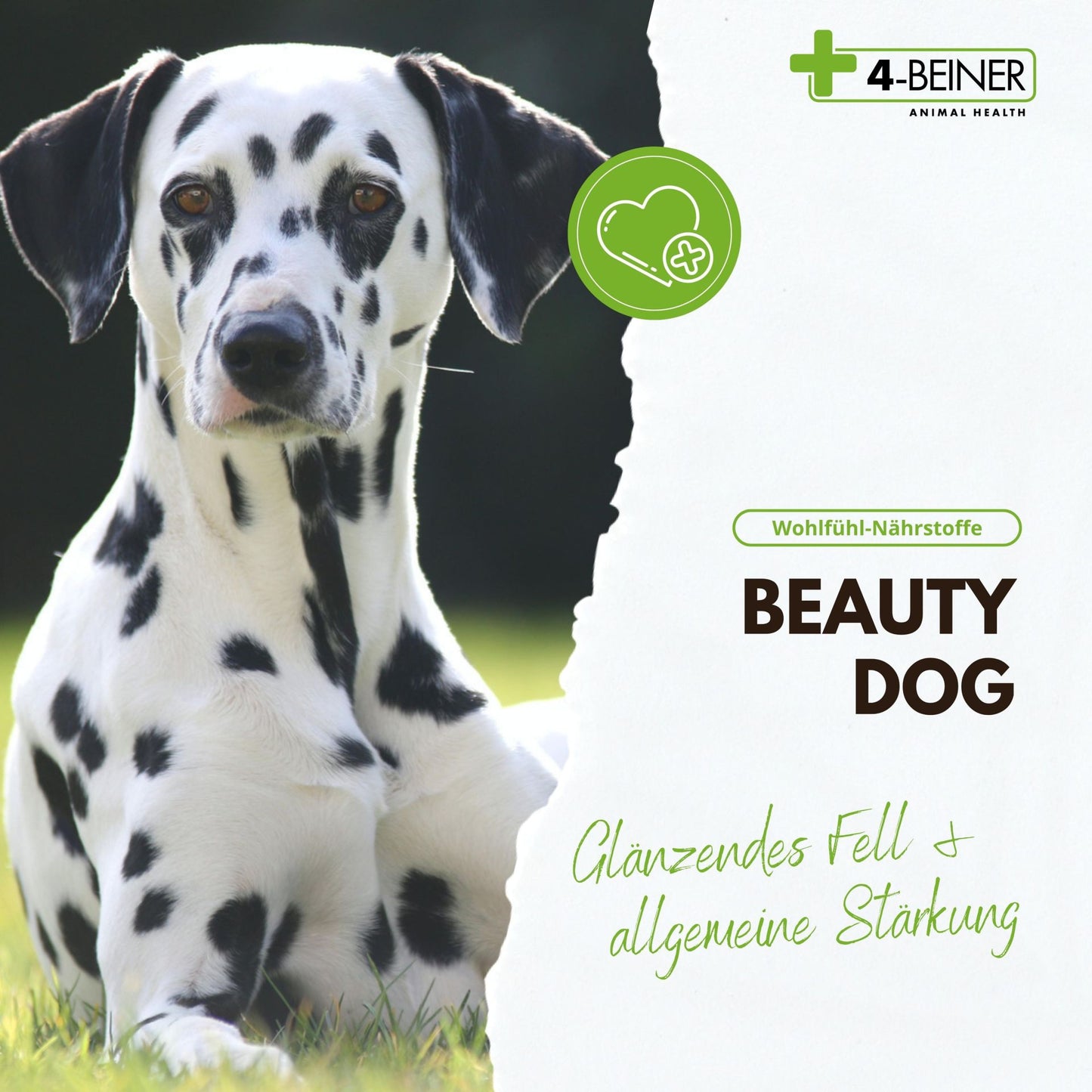 4-Beiner Beauty Dog - 80 Gramm