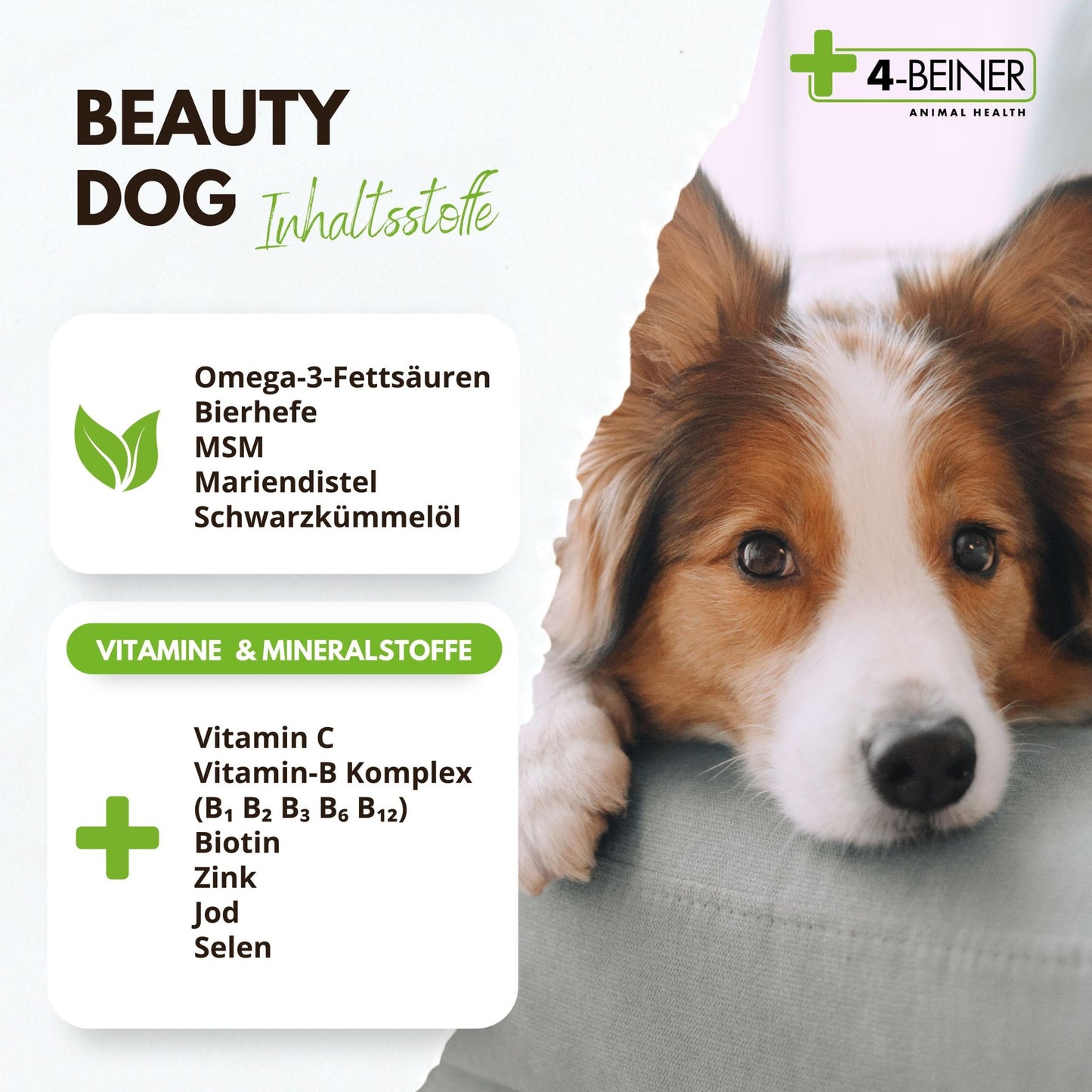 4-Beiner Beauty Dog - 80 Gramm