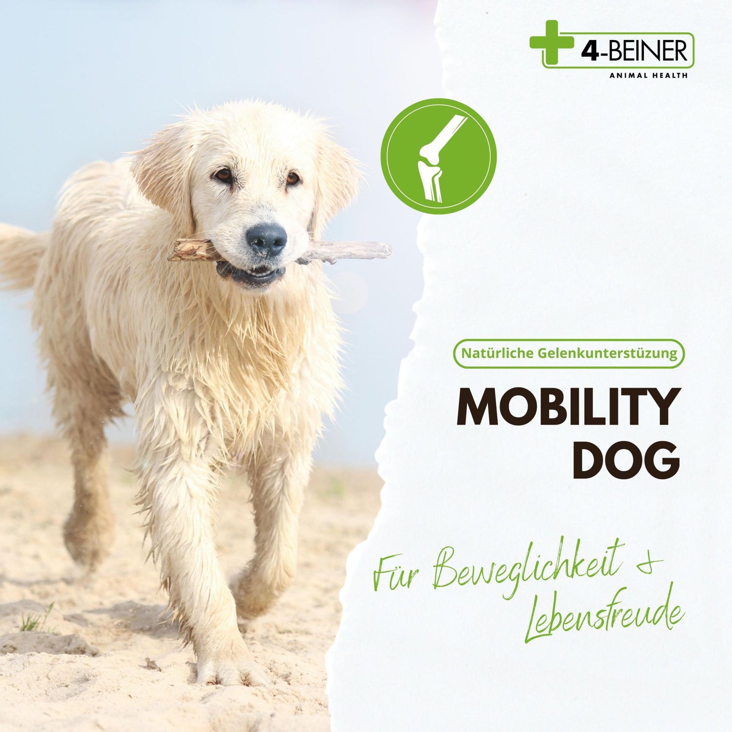 4-Beiner Mobility Dog - 120 Tabletten - 232 Gramm