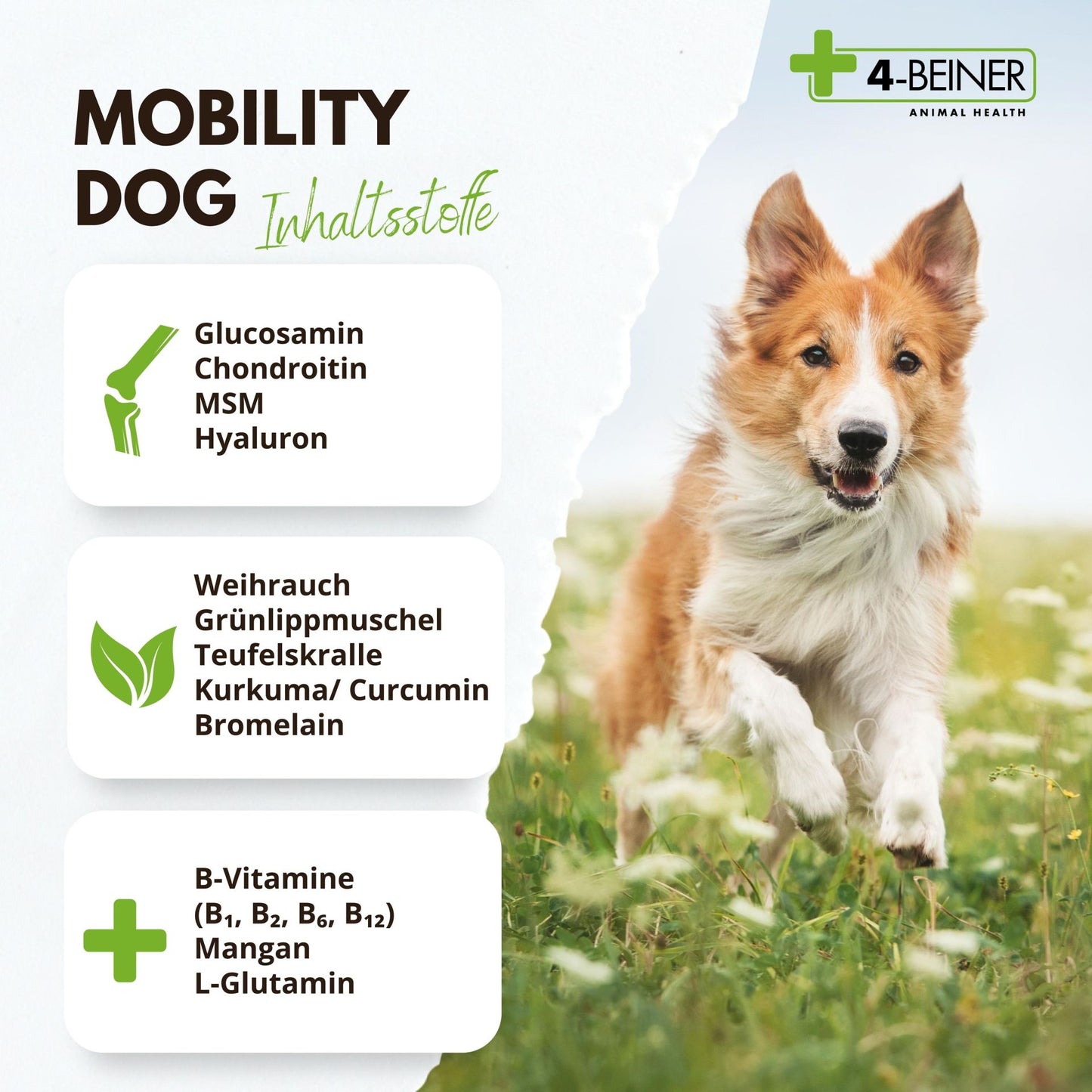 4-Beiner Mobility Dog - 120 Tabletten - 232 Gramm