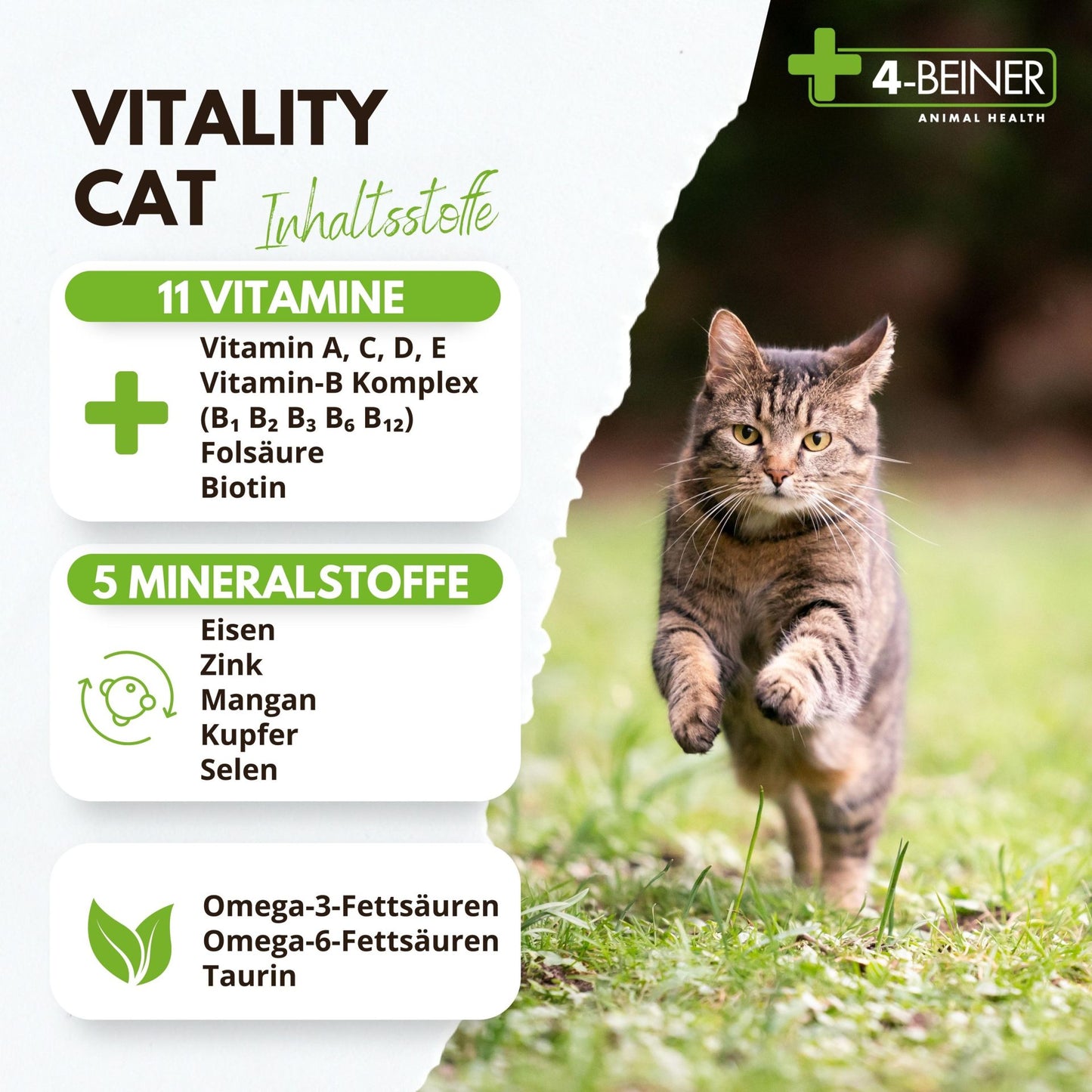 4-Beiner Vitality-Cat - 90 Gramm