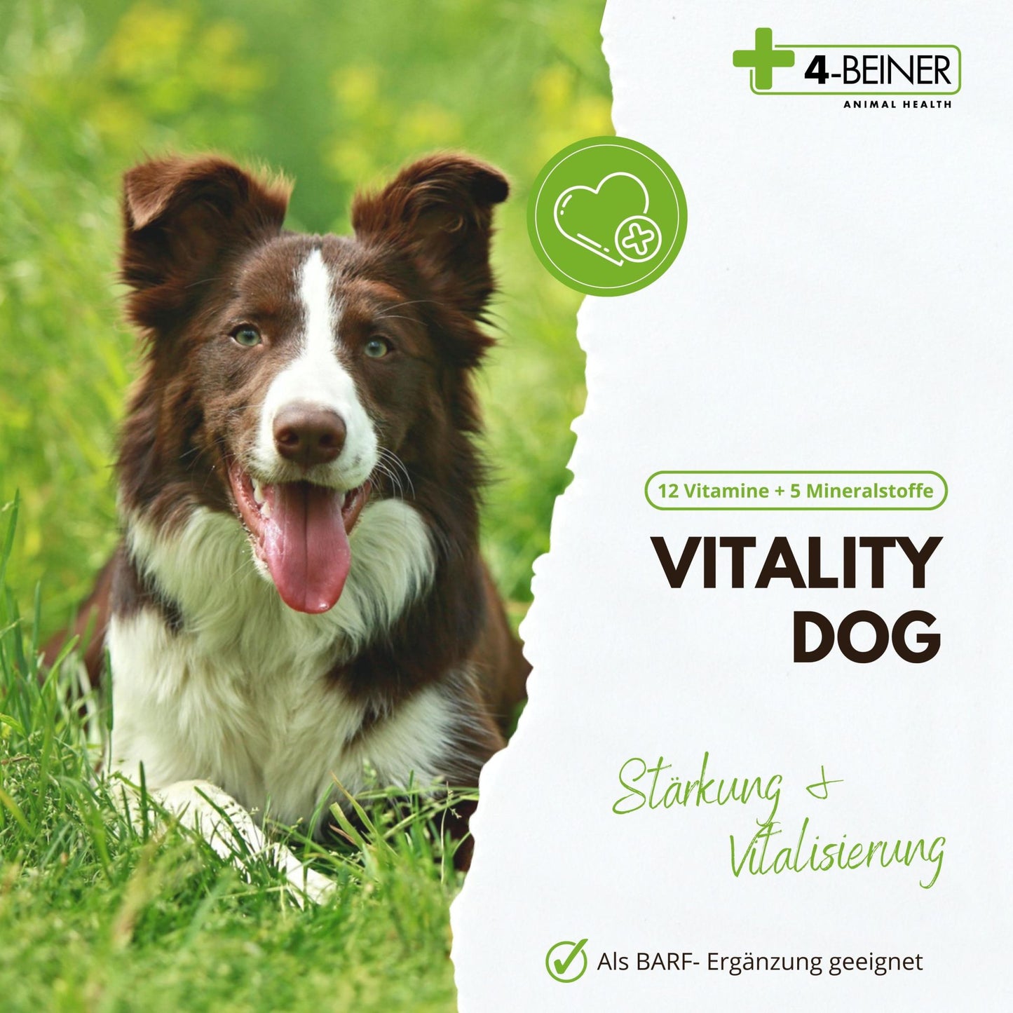 4-Beiner Vitality Dog - 100 Tabletten - 66 Gramm