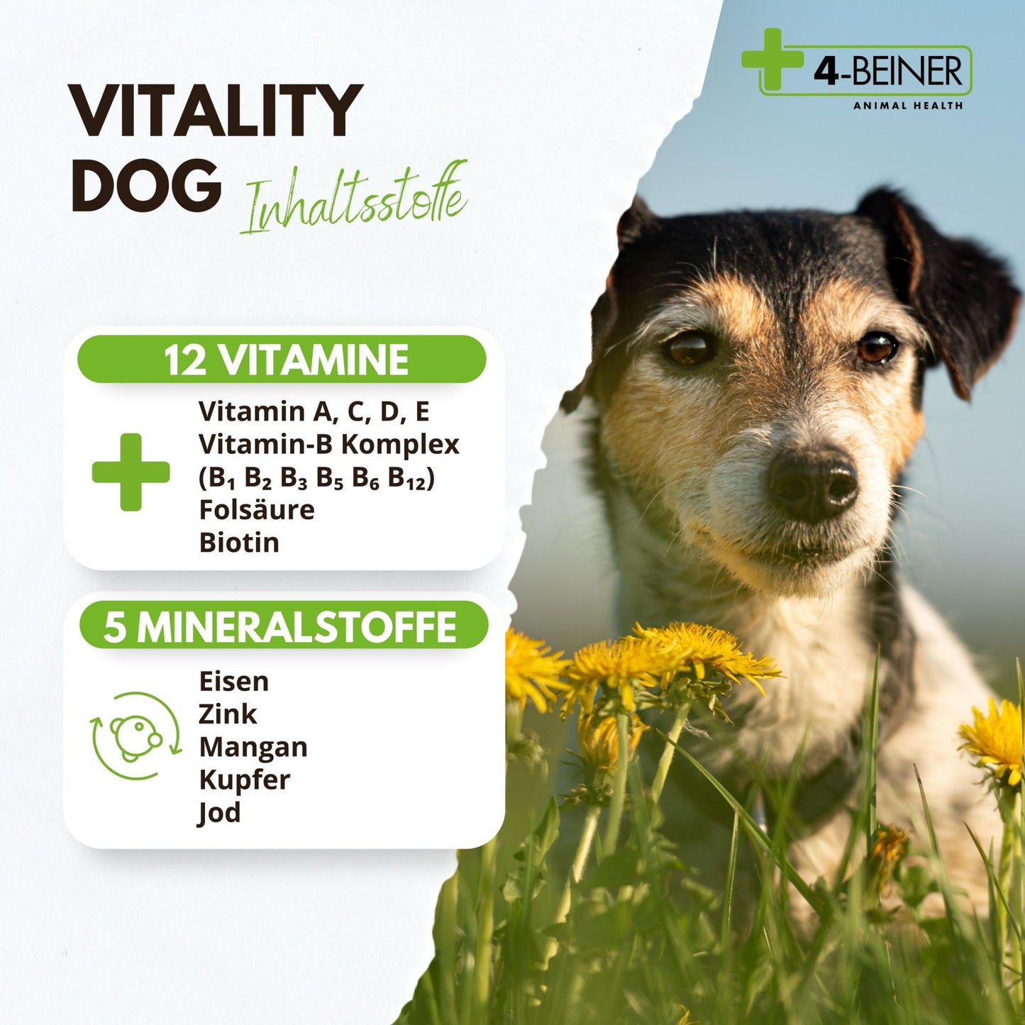 4-Beiner Vitality Dog - 100 Tabletten - 66 Gramm