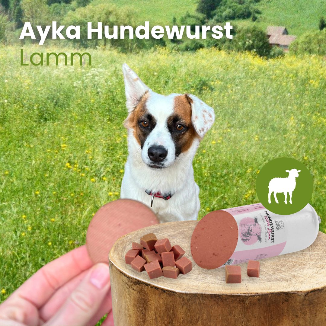 Hundewurst Lamm - Pures Fleisch