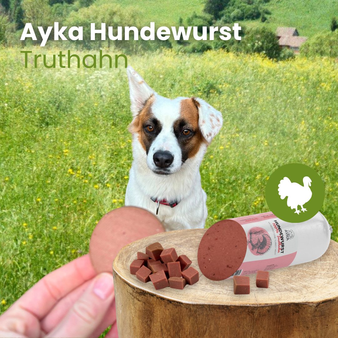 Hundewurst Truthahn - Pures Fleisch