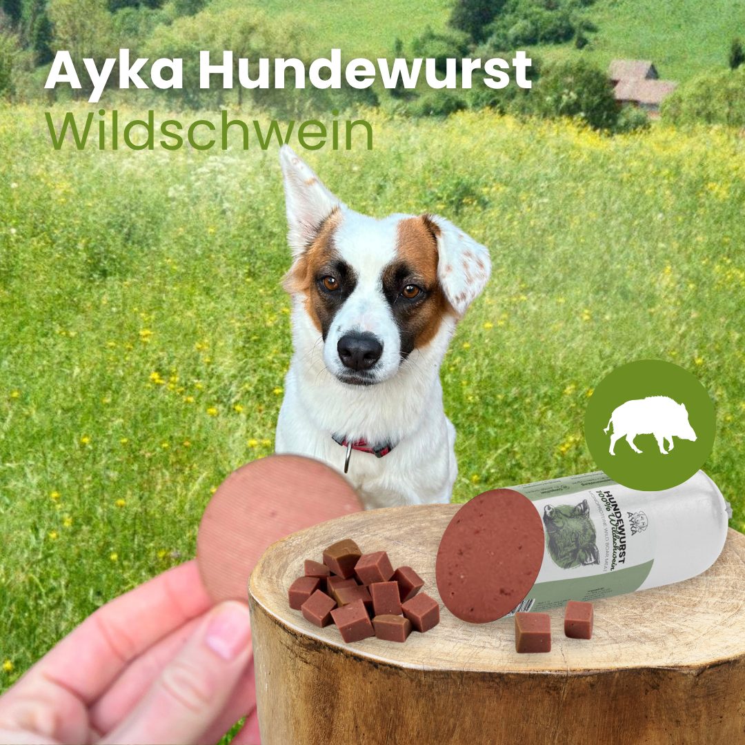 Hundewurst Wildschwein - Pures Fleisch