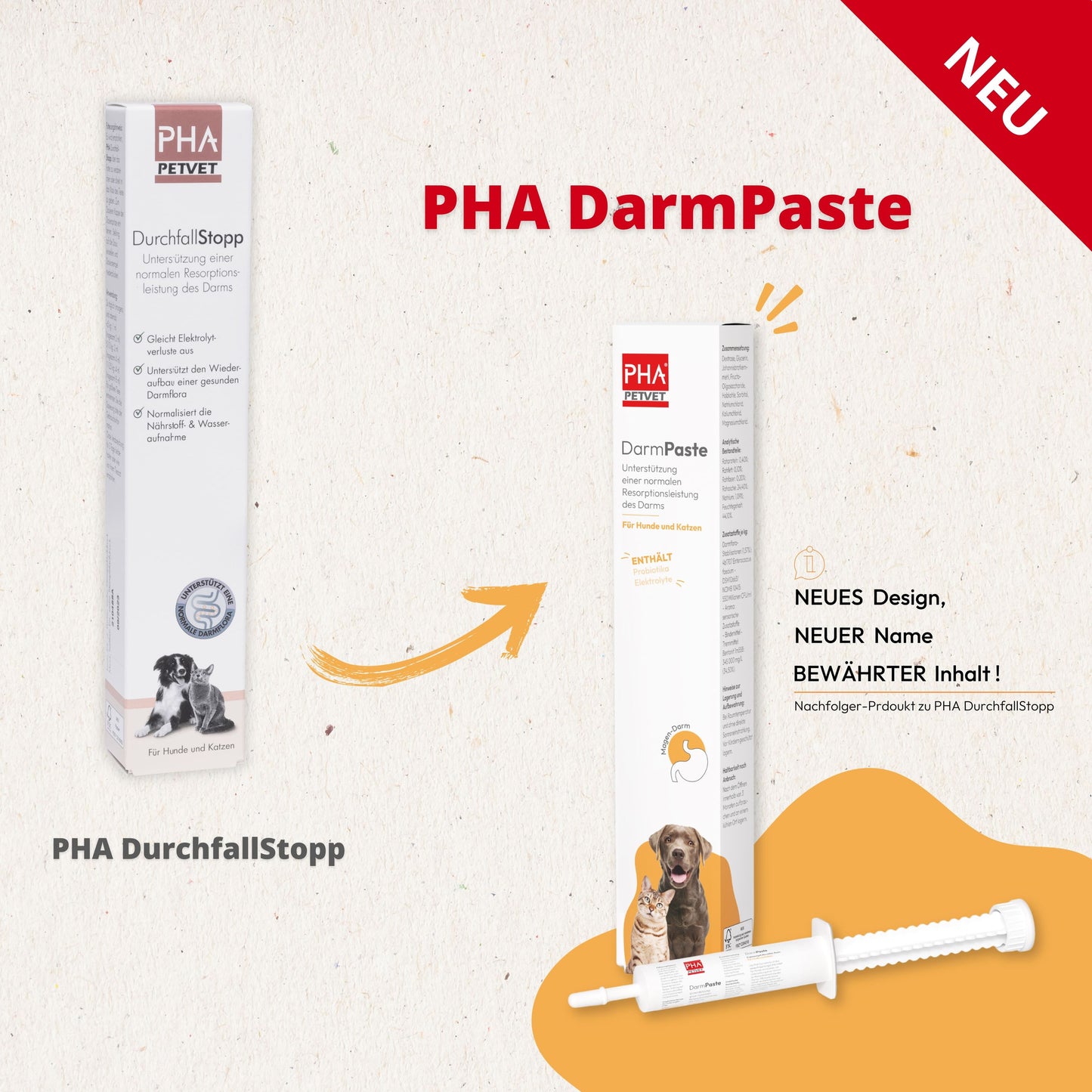 PHA DarmPaste für Hunde und Katzen 15 ml