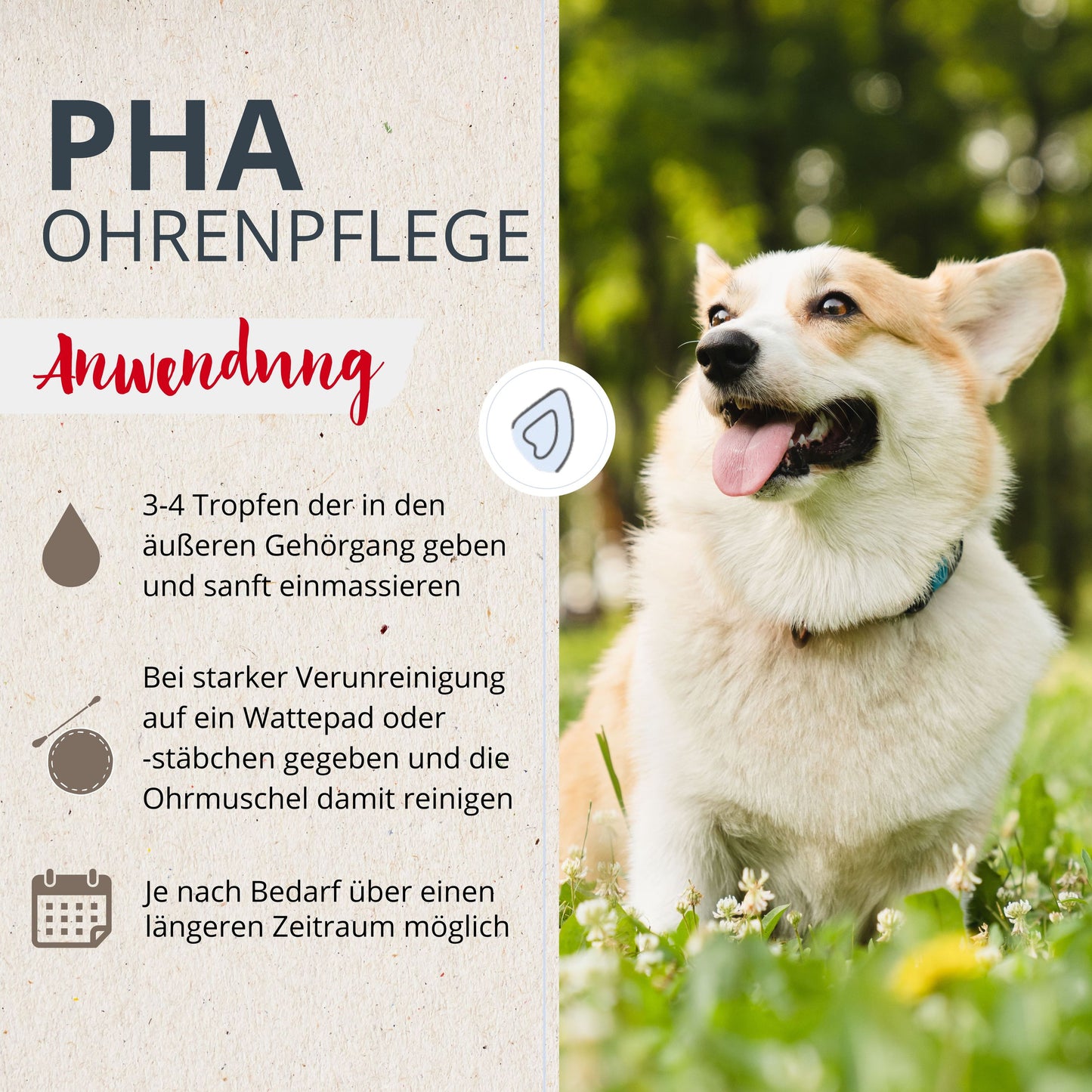 PHA OhrenPflege für Hunde u. Katzen 100 ml