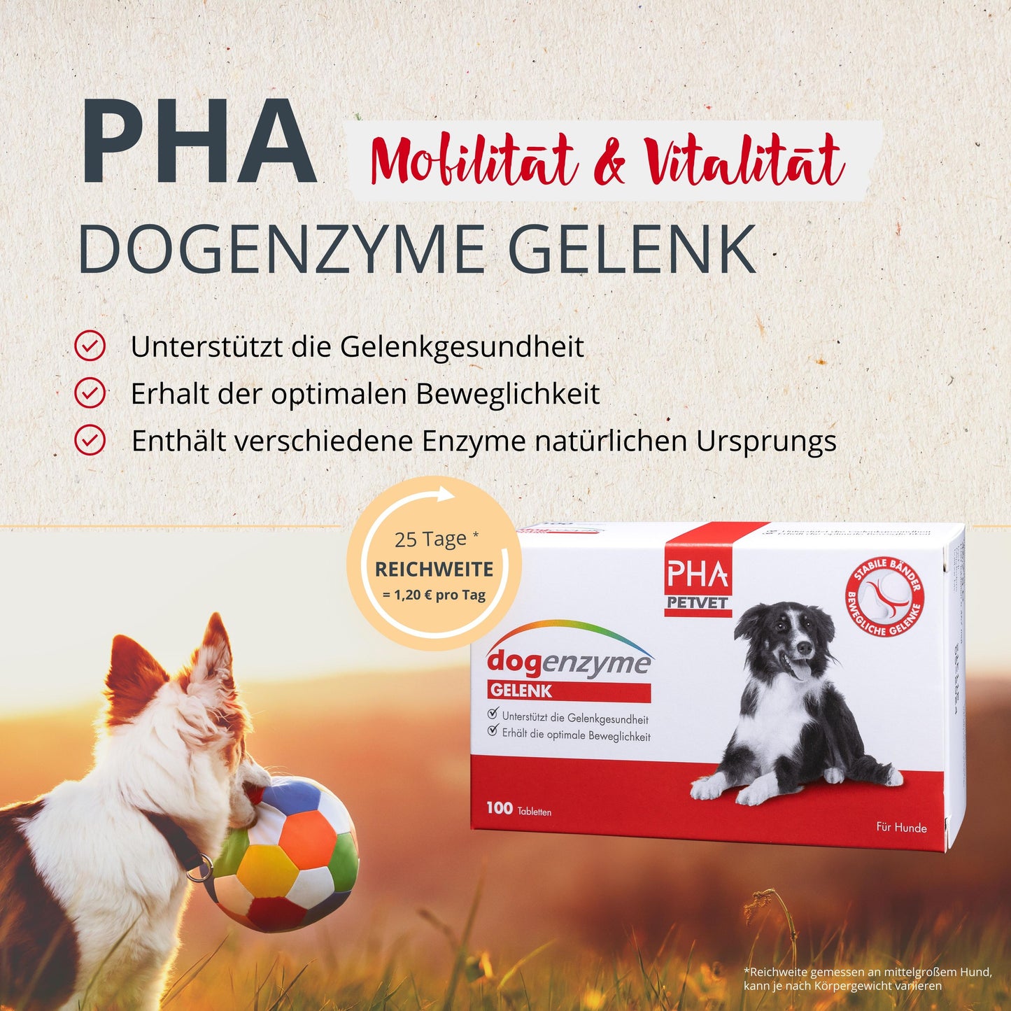 PHA dogenzyme – Gelenk 100 Tabletten (46 g)