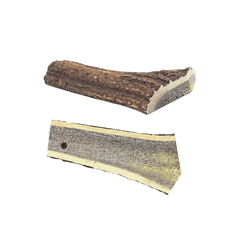 Hirsch-Geweih halbiert