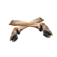 Hirsch Unterbein ohne Fell