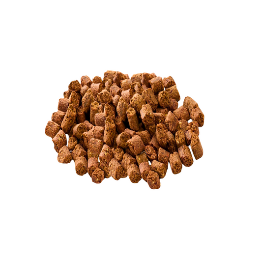 Insekten Snack