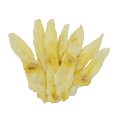 Kaninchen-Ohren, weiß